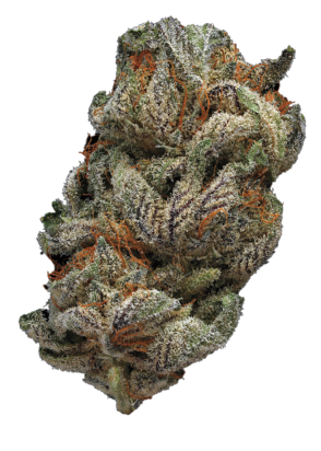 Buds