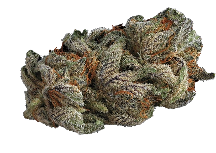 Red Gorilla Greens downtown Albuquerque | Red Gorilla Greens 4th Street Albuquerque | Red Gorilla Greens cannabis dispensary near Old Town Albuquerque | Red Gorilla Greens Albuquerque NM location | Red Gorilla Greens Albuquerque hours | Red Gorilla Greens Albuquerque directions | Red Gorilla Greens recreational dispensary New Mexico | Red Gorilla Greens cannabis flower New Mexico | Red Gorilla Greens cannabis edibles New Mexico | Red Gorilla Greens pre rolls New Mexico | Red Gorilla Greens indica cannabis Albuquerque | Red Gorilla Greens sativa cannabis Albuquerque | Red Gorilla Greens hybrid cannabis Albuquerque | Red Gorilla Greens indoor cannabis flower Albuquerque | Red Gorilla Greens premium cannabis Albuquerque | Red Gorilla Greens affordable cannabis Albuquerque | Red Gorilla Greens cannabis products near me | Red Gorilla Greens cannabis menu near me | Red Gorilla Greens dispensary deals near me