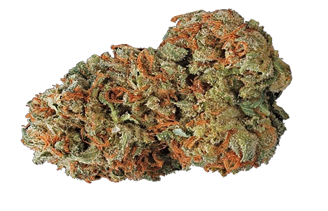 Red Gorilla Greens marijuana products Albuquerque NM | Red Gorilla Greens THC products Albuquerque | Red Gorilla Greens cannabis strains Albuquerque NM | Red Gorilla Greens cannabis shop Albuquerque New Mexico | Red Gorilla Greens recreational marijuana dispensary Albuquerque NM | Red Gorilla Greens cannabis specials New Mexico | Red Gorilla Greens marijuana flower Albuquerque | Red Gorilla Greens cannabis pre rolls Albuquerque NM | Red Gorilla Greens THC edibles Albuquerque NM | Red Gorilla Greens cannabis vape products Albuquerque NM