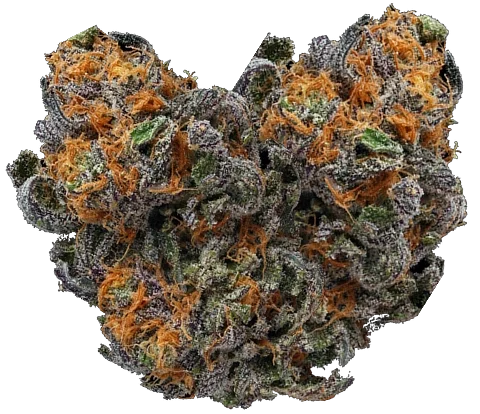 Red Gorilla Greens cannabis dispensary Albuquerque NM | Red Gorilla Greens cannabis dispensary Albuquerque New Mexico | Red Gorilla Greens weed dispensary Albuquerque | Red Gorilla Greens marijuana dispensary Albuquerque | Red Gorilla Greens recreational cannabis Albuquerque | Red Gorilla Greens cannabis menu Albuquerque | Red Gorilla Greens cannabis products Albuquerque | Red Gorilla Greens cannabis flower Albuquerque | Red Gorilla Greens indica strains Albuquerque | Red Gorilla Greens sativa strains Albuquerque | Red Gorilla Greens hybrid strains Albuquerque | Red Gorilla Greens pre rolls Albuquerque | Red Gorilla Greens infused pre rolls Albuquerque | Red Gorilla Greens cannabis edibles Albuquerque | Red Gorilla Greens THC gummies Albuquerque | Red Gorilla Greens cannabis vape Albuquerque